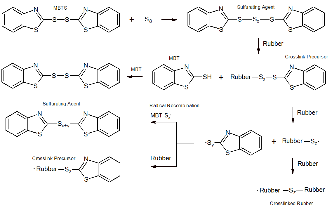 Rubber Vulcanization