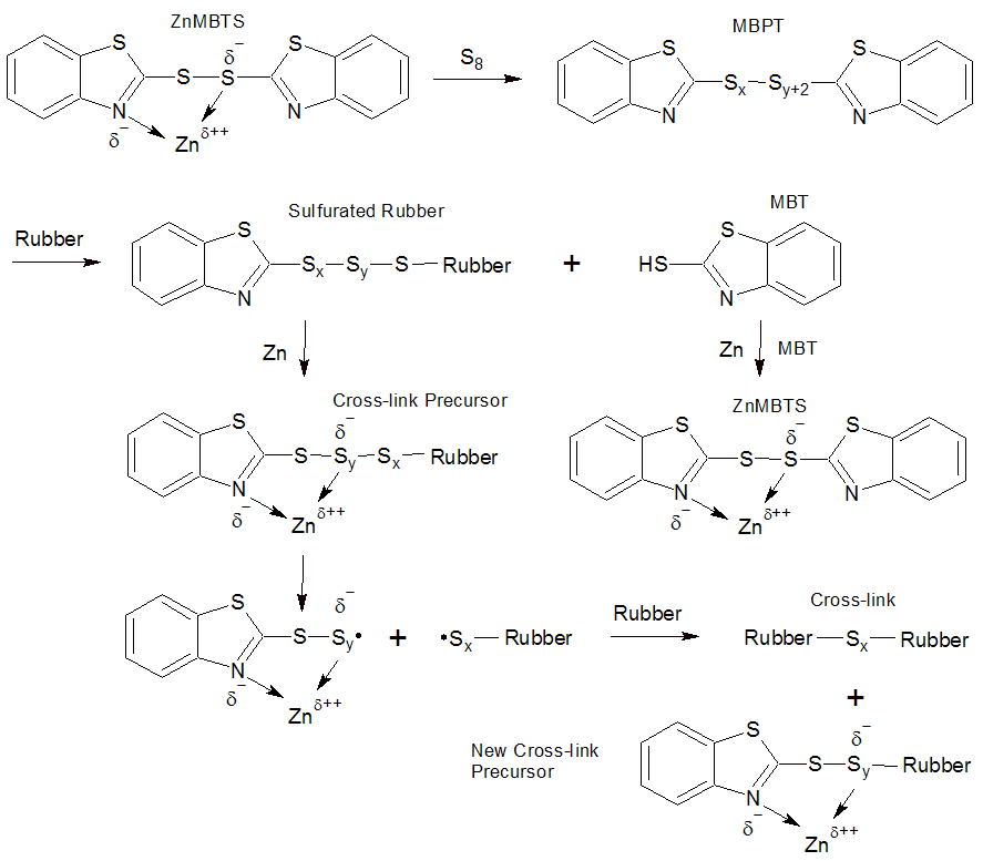 Rubber Vulcanization